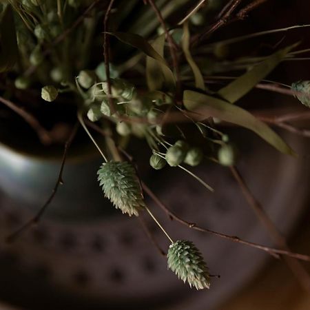 Coffee Apartment グディニャ エクステリア 写真